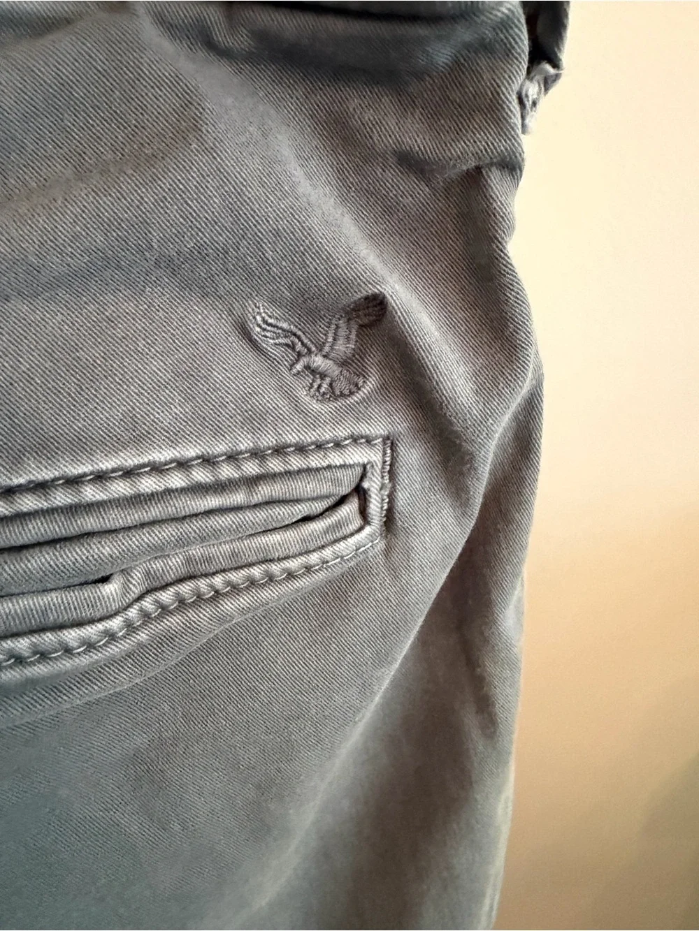 American Eagle Outfitters Gray Flat-Front Men's Shorts